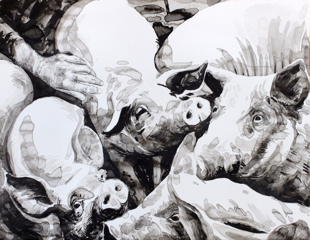 Paolo Boosten Indian Ink drawing, with pigs.